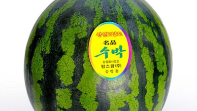 🥳 못난이 수박 득템 후기! 싸고 맛있는 여름나기🍉