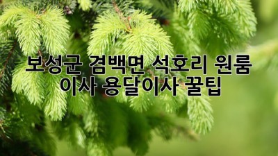 보성군 겸백면 석호리 원룸 이사, 용달이사 꿀팁!