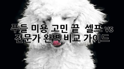 🐩 푸들 미용 고민 끝! ✂️ 셀프 vs 전문가 완벽 비교 가이드